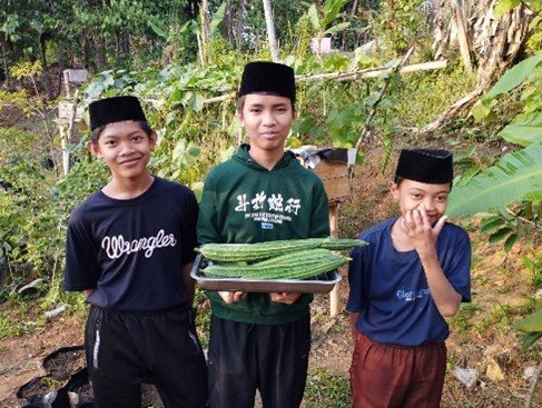Panen! Anak-Anak Yatim LKSA Al Hilal Kembali Berkebun