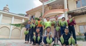 Anak Yatim Penghafal Quran LKSA Al Hilal Panen Buah Mangga Anak Yatim Penghafal Quran LKSA Al Hilal Panen Buah Mangga