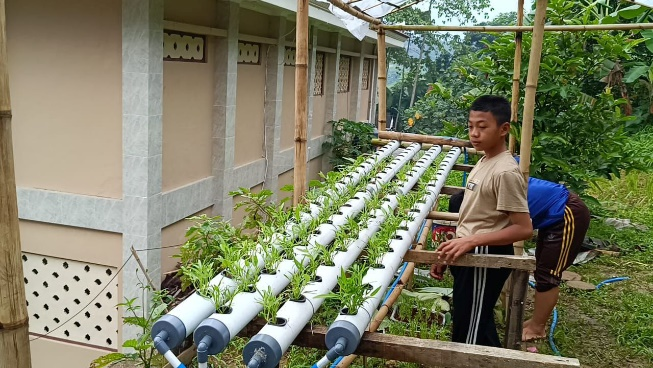 Budidaya Sayuran Kangkung Dengan Media Hidroponik Kembali Dilaksanakan Anak-Anak LKSA Al Hilal Cililin! Inilah Perkembangannya