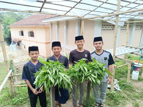 Intip Proses Panen Sayur Kangkung Hidroponik yang Dikelola Anak-Anak LKSA Al Hilal Cililin, Yuk!