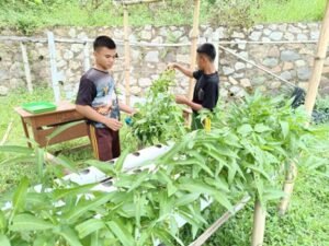 Sayuran Organik dan Hidroponik Kembali Hadirkan Manfaat Untuk Anak Yatim Penghafal Quran LKSA Al Hilal Cililin