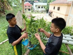 Sayuran Organik dan Hidroponik Kembali Hadirkan Manfaat Untuk Anak Yatim Penghafal Quran LKSA Al Hilal Cililin
