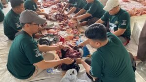 Laporan Distribusi Qurban 1445 H/2024 M LAZISWAF LKSA Al Hilal Jangkau 6.771 Penerima Manfaat di Pelosok Desa