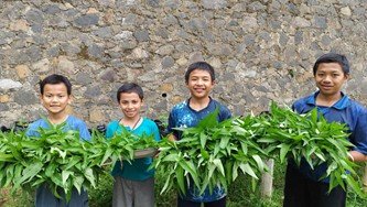 Alhamdulillah Panen Lagi! Sayuran Kangkung Kembali Hadirkan Manfaat Untuk Anak-Anak LKSA Al Hilal 1 Cililin