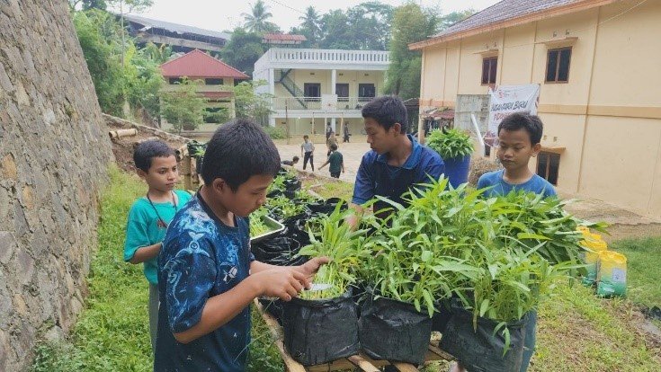 Alhamdulillah Panen Lagi! Sayuran Kangkung Kembali Hadirkan Manfaat Untuk Anak-Anak LKSA Al Hilal 1 Cililin Alhamdulillah Panen Lagi! Sayuran Kangkung Kembali Hadirkan Manfaat Untuk Anak-Anak LKSA Al Hilal 1 Cililin